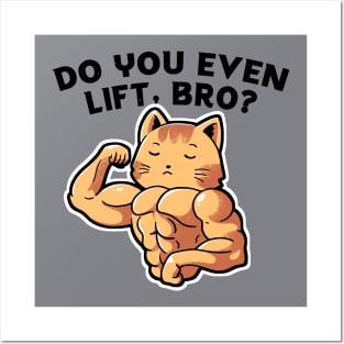 Do you even lift, bro? Posters and Art